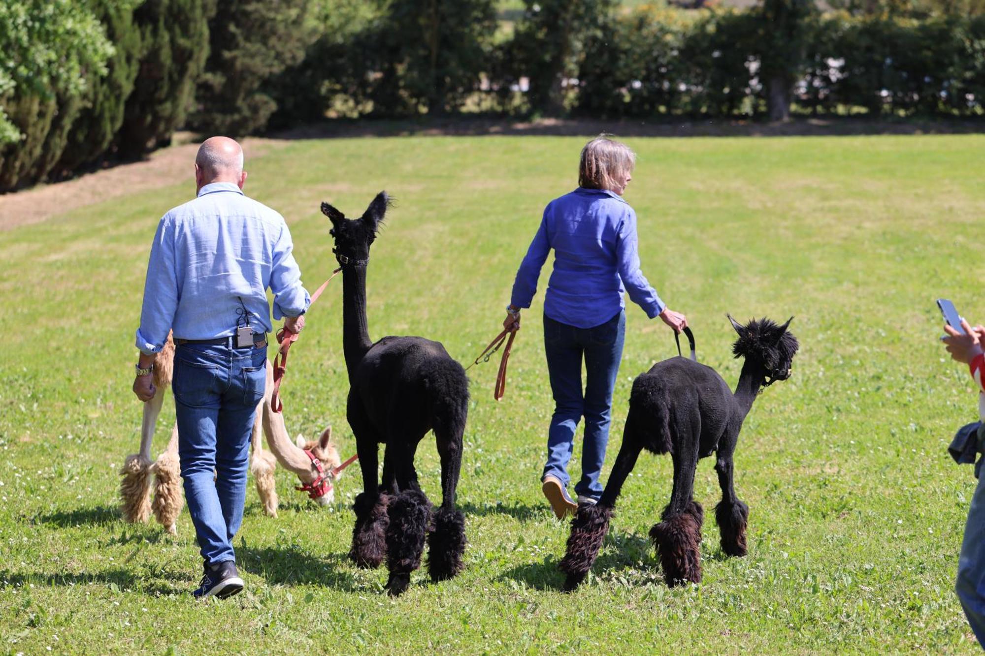 Fattoria Casabianca Villa Bucine Kültér fotó