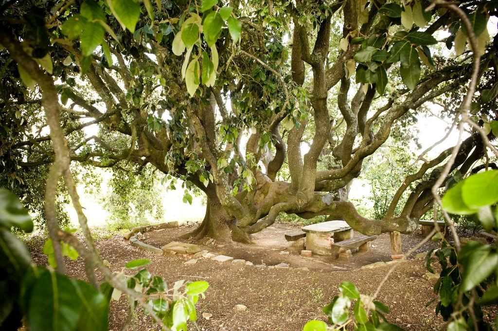 Fattoria Casabianca Villa Bucine Kültér fotó