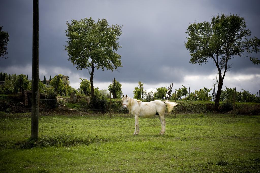 Fattoria Casabianca Villa Bucine Kültér fotó