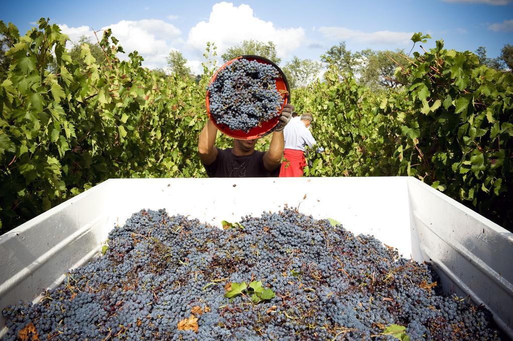 Fattoria Casabianca Villa Bucine Kültér fotó